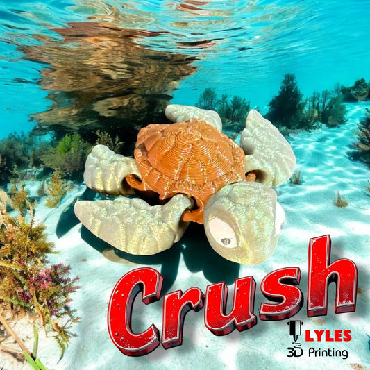 Sea Turtle Micro pet